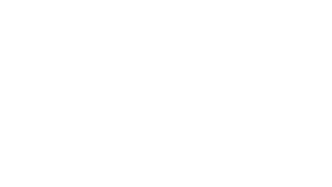 WeMind Cluster